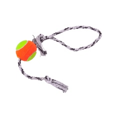 Brinquedo LCM Dental Bone para Cães - Cores Sortidas