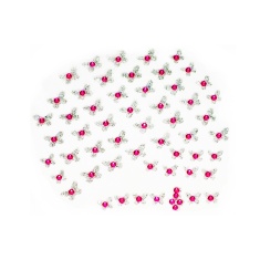 Piercing Griff Dog para Cães - Sortido