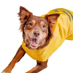Capa de Chuva Bendog Amarela para Cães