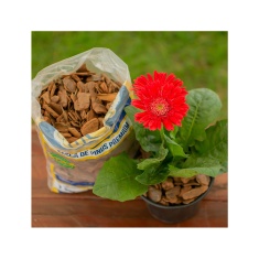 Casca de Pinus All Garden Premium