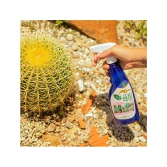 Fertilizante Foliar All Garden Spray Suculentas 500ml