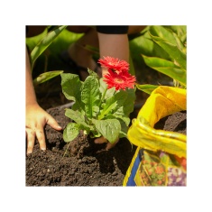 Substrato All Garden Turfa