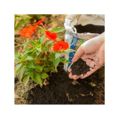 Adubo All Garden Humus de Minhoca 2kg