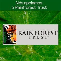 Areia Higiênica Viva Verde Grãos Mistos para Gatos