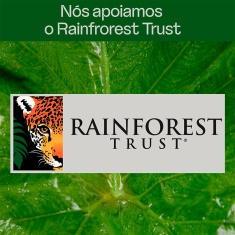 Areia Higiênica Viva Verde Grãos Finos para Gatos