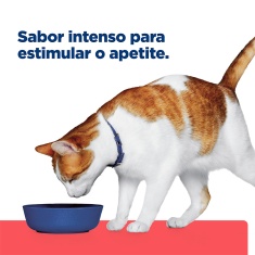 Ração Ùmida Hill's Prescription Diet ONC Care Cuidado Oncológico para Gatos 82g