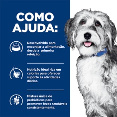 Ração Úmida Hill's Prescription Diet ONC Care Cuidado Oncológico para Cães 354g