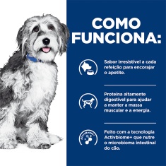 Ração Úmida Hill's Prescription Diet ONC Care Cuidado Oncológico para Cães 354g