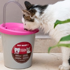 Fonte Pet Injet Postura Correta Rosa para Cães e Gatos