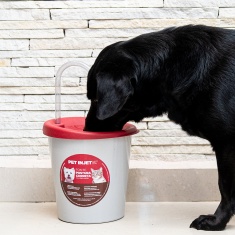 Fonte Pet Injet Postura Correta Vermelha para Cães e Gatos