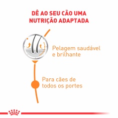 Ração Úmida Royal Canin Sachê Coat Beauty para Cães Adultos - 85 g