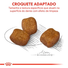 Ração Royal Canin Mini Cuidado Dental para Cães Adultos de Porte Pequeno 2,5 kg