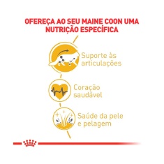 Ração Royal Canin Gatos Adultos da Raça Maine Coon