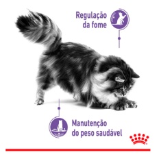 Ração Úmida Royal Canin Sachê Controle do Apetite para Gatos Adultos 85 g