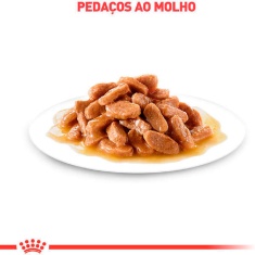 Ração Úmida Royal Canin Sachê Patê Cuidado Digestivo para Gatos Adultos 85 g