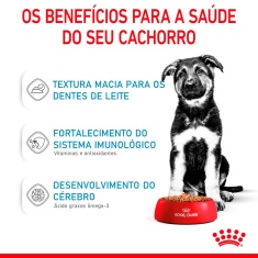 Ração Úmida Royal Canin Sachê Maxi Puppy para Cães Filhotes de Porte Grande - 140 g