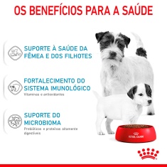 Ração Seca Royal Canin Starter Mother & Babydog Mini para Fêmeas gestantes/lactantes e Filhotes de 1 a 2 Meses de Idade - 1 Kg