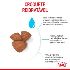 Ração Seca Royal Canin Starter Mother & Babydog Mini para Fêmeas gestantes/lactantes e Filhotes de 1 a 2 Meses de Idade - 1 Kg