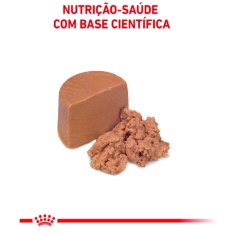 Ração Úmida Royal Canin Lata Veterinary Diet Recovery para Cães e Gatos em Recuperação - 195 g