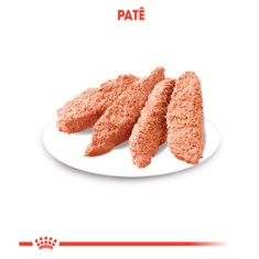 Ração Úmida Royal Canin Sachê Castrados Jelly para Gatos Adultos Castrados 85 g