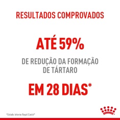 Ração Seca Royal Canin Dental Care para Gatos Adultos