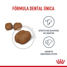 Ração Seca Royal Canin Dental Care para Gatos Adultos