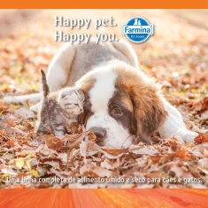 Ração N&D Pumpkin para Cães Adultos Raças Média sabor Cordeiro, Abóbora e Blueberry