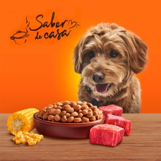 Ração Champ Carne e Cereal para Cães Adultos