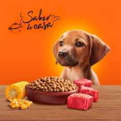 Ração Champ Carne e Cereal Para Cães Filhotes 900 g