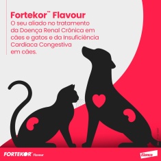 Fortekor 5mg Elanco 28 Comprimidos