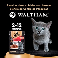 Ração Úmida Sheba Sachê para Gatos Filhotes Sabor Carne 85g