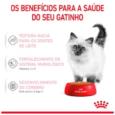 Ração Úmida Pedaços ao Molho Royal Canin Sachê para Gatos Filhotes com Até 12 Meses 85 g