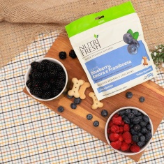 Biscoito Nutrifresh Natural Sabor Blueberry, Amora e Framboesa para Cães Adultos 150g