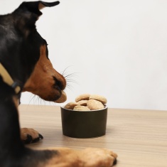 Cookie Selections For Pets Sabor Frutas Vermelhas para Cães Adultos 250g