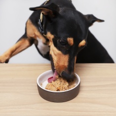 Patê Selections For Pets para Cães Sabor Carne 280 g