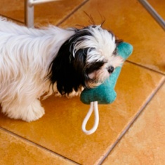 Brinquedo Mabuu Osso com Corda Verde