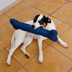 Brinquedo Mabuu Osso Gigante Azul