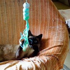 Brinquedo Mabuu Interativo Para Gatos Cobra Rosa