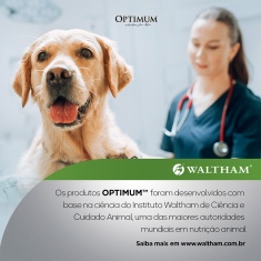 Ração Úmida Optimum Sachê para Cães Adultos Raças Pequenas e Minis Sabor Carne 100g