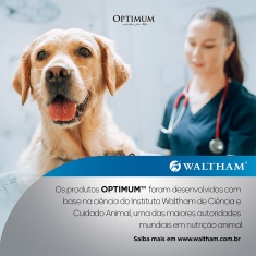 Ração Umida Optimum Sachê para Cães Adultos de Raças Grandes Sabor Carne 100 g