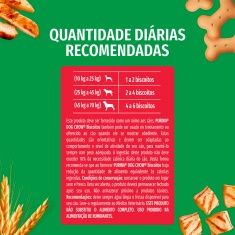 Biscoito Dog Chow Para Cães Adultos Médios e Grandes Sabor Frango 500g