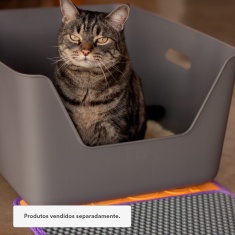 Bandeja Higiênica Cansei de Ser Gato Amarela para Gatos