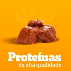 Ração Úmida Pedigree Sachê Carne ao Molho para Cães Adultos Sênior 7+ Anos 100 g