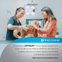 Ração Umida Optimum Sachê para Gatos Adultos Castrados Sabor Frango 85 g