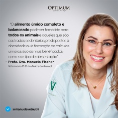 Ração Úmida Optimum Sachê para Gatos Adultos Frango 85 g