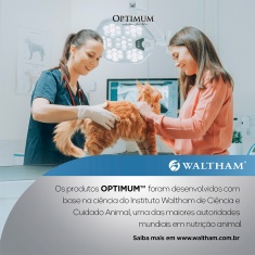 Ração Úmida Optimum Sachê para Gatos Adultos Manutenção de Peso Frango 85 g