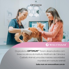 Ração Úmida Optimum Sachê para Gatos Filhotes Frango 85 g