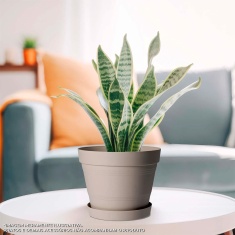 Vaso West Garden Veneza Nude