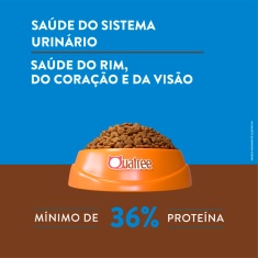 Ração Quatree Supreme para Gatos Sênior +7 Sabor Salmão e Frango 10,1 kg