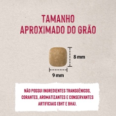 Ração Quatree Life para Gatos Adultos Sabor Salmão e Arroz
